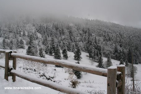 Paysage de neige vallée de Kaysersberg