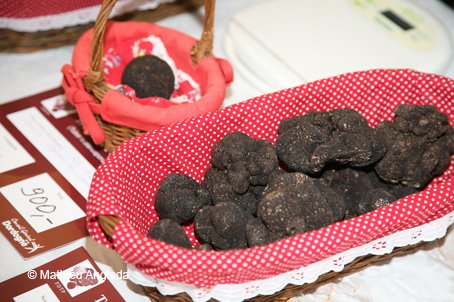 Les truffes noires du Périgord
